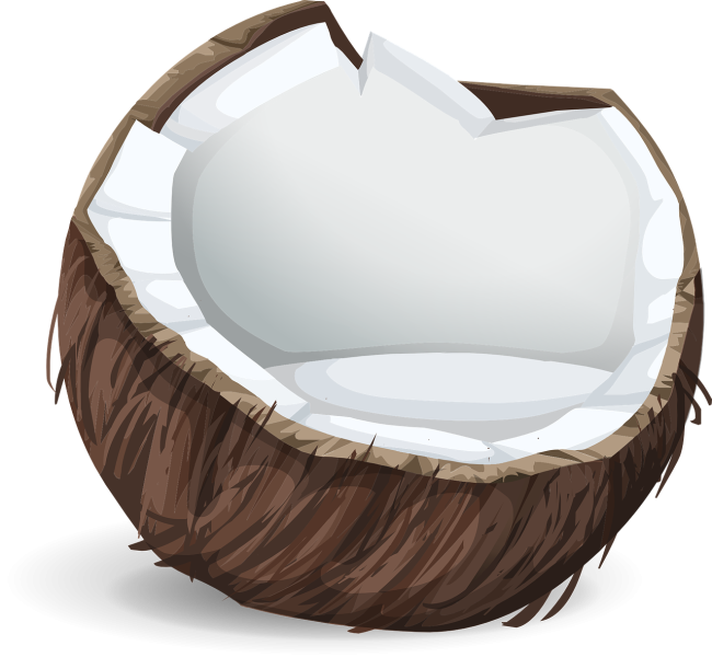 File:A coconut.png